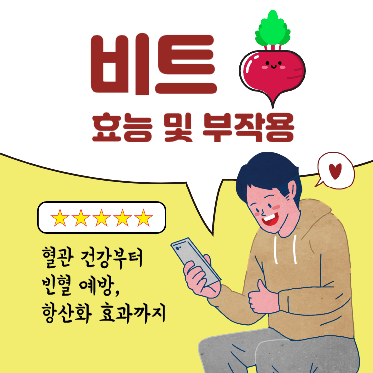 비트 효능 및부작용