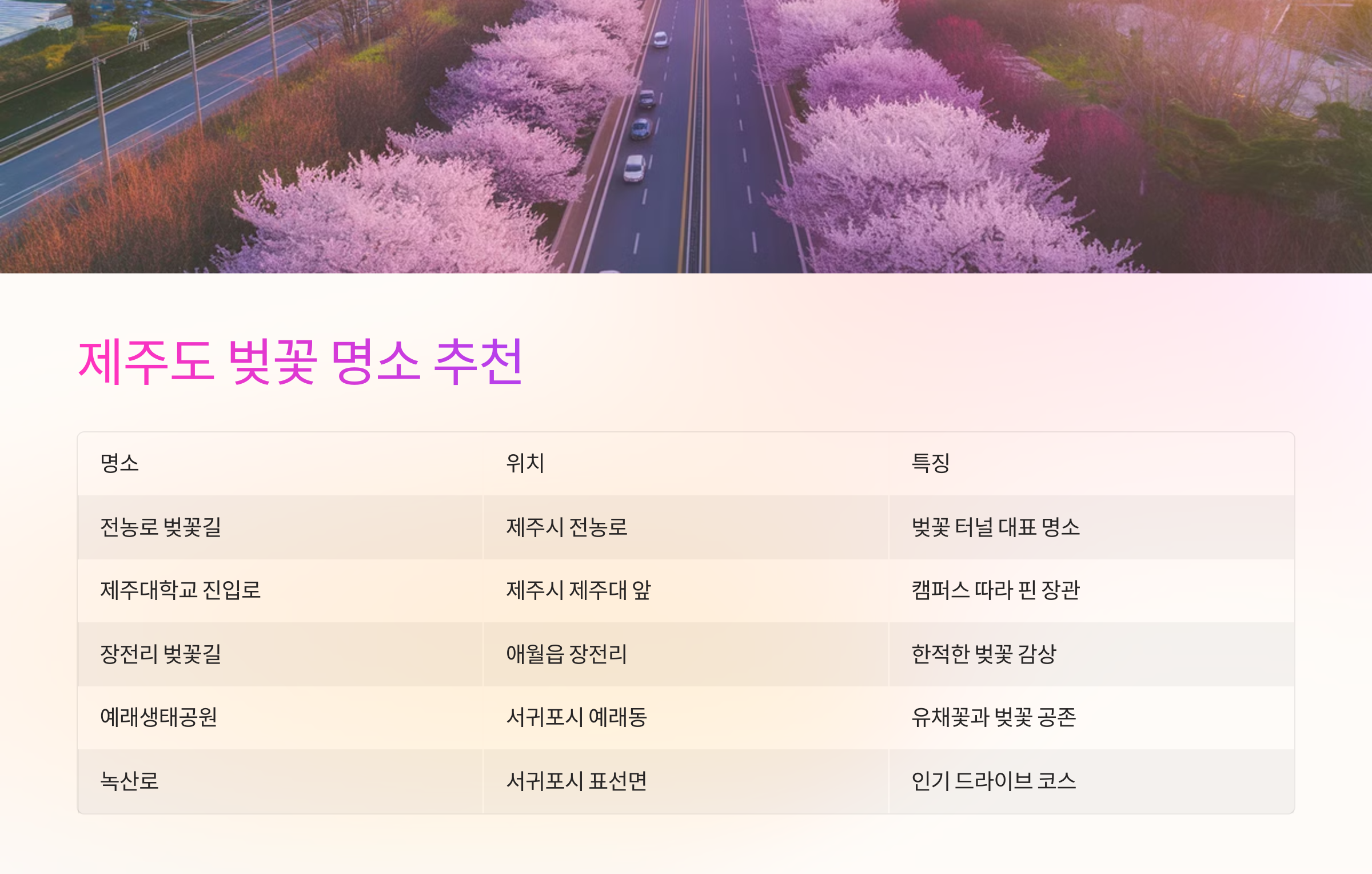 📍 제주도 벚꽃 명소 추천