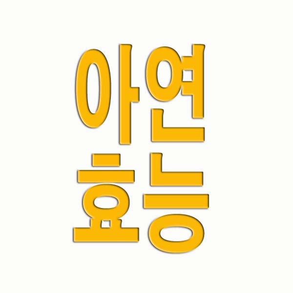 아연 효능