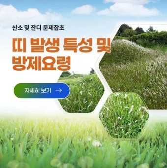 잡초 방제 전략 광폭멀칭 피복재 선발아 겨울관리_7