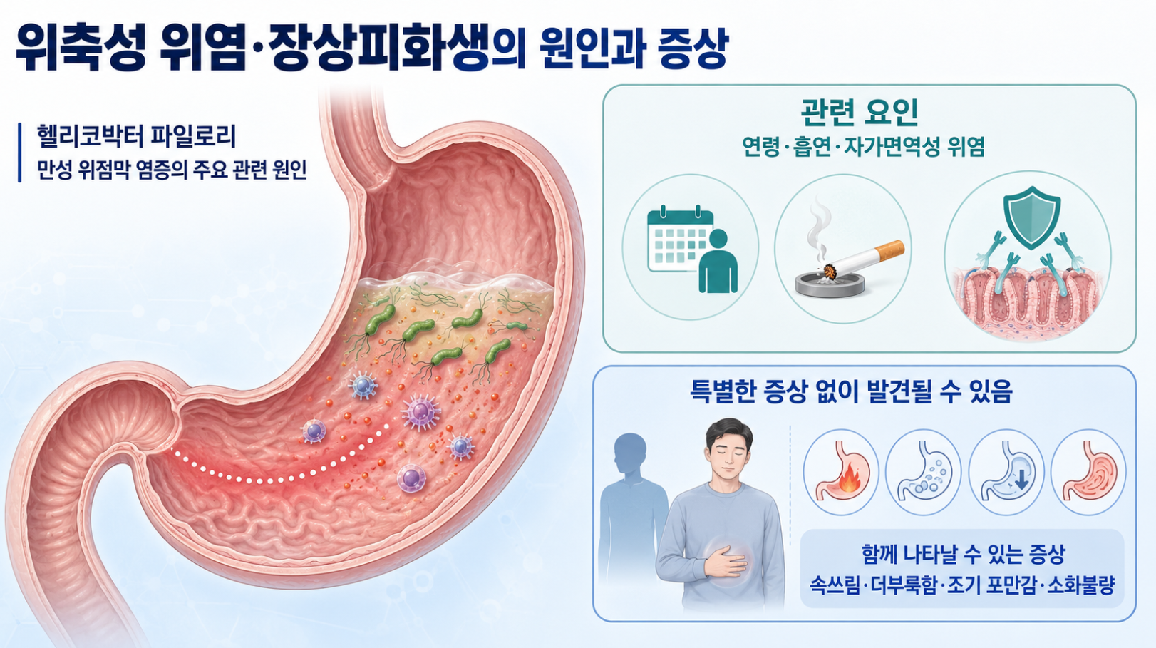 헬리코박터 감염과 만성 염증·연령·흡연·자가면역성 위염 및 관련 증상을 정리한 인포그래픽