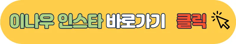 이나우 인스타