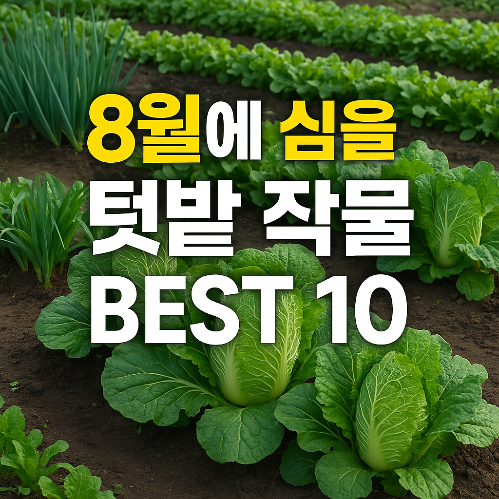 8월에 심을 텃밭 작물