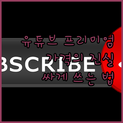 유튜브 프리미엄 가격의 진실! 싸게 