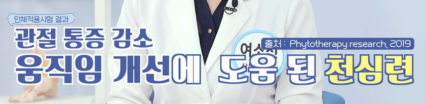 천심련 효능