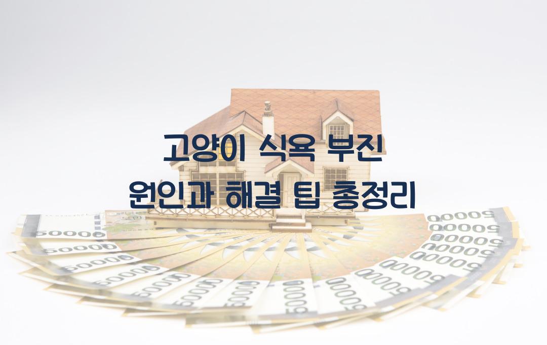 고양이 식욕 부진 원인과 해결 팁