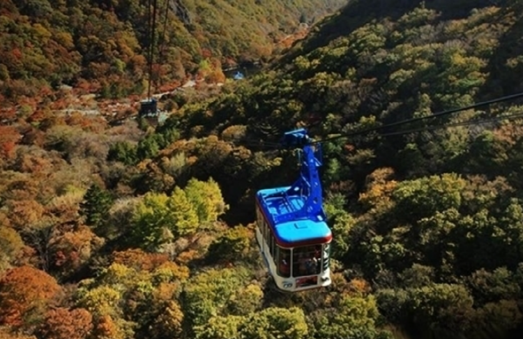 내장산 케이블카