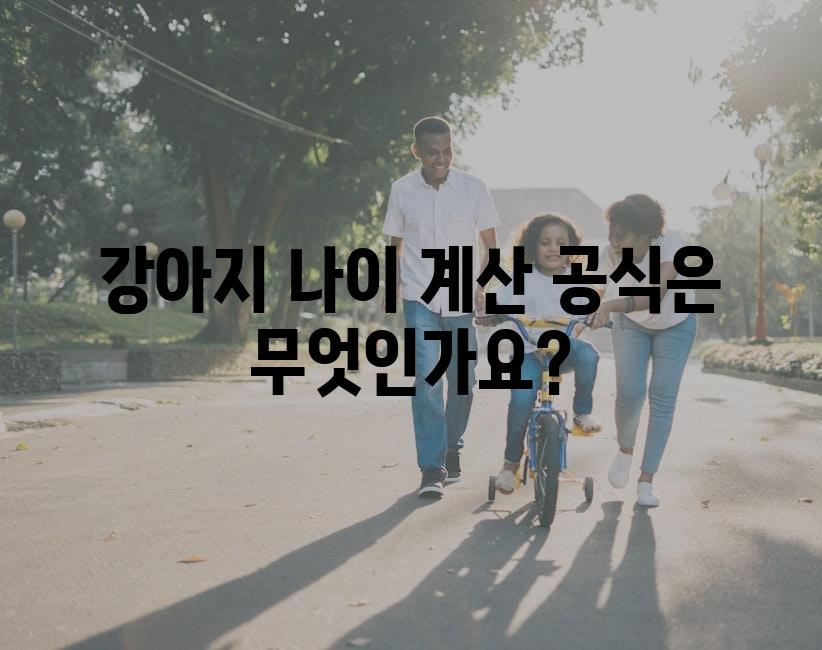 샘플 (26)