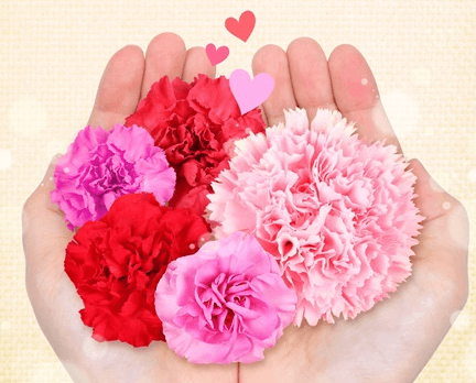 스승의날-감사문구-센스있는문구