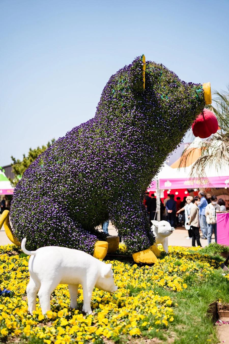태안 가을 꽃박람회 마무리