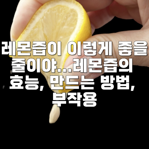 레몬즙