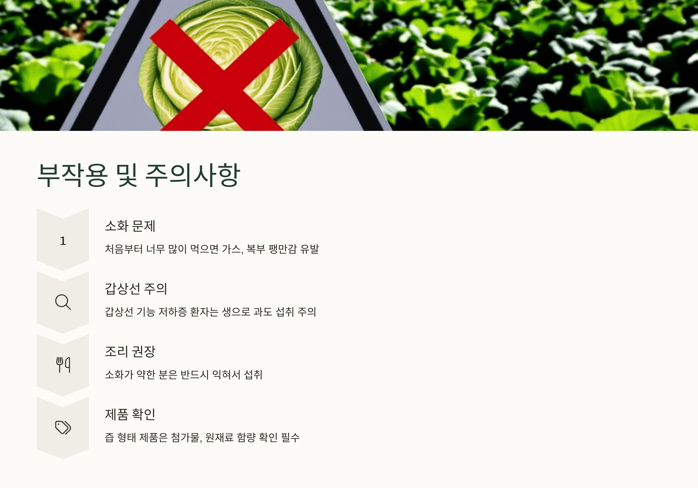 양배추 사진입니다.