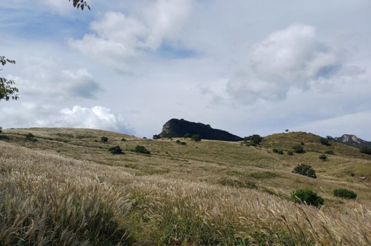 황매산 억새축제
