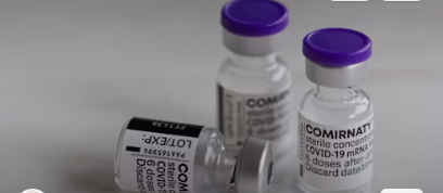 백일해 예방접종 가격 비교