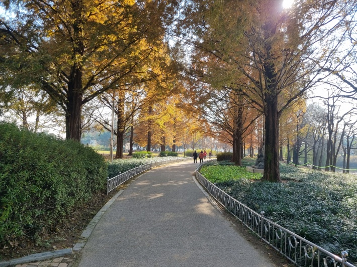 산책로