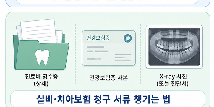 놓치기 쉬운 포인트 &mdash; 실비&middot;치아보험 활용법