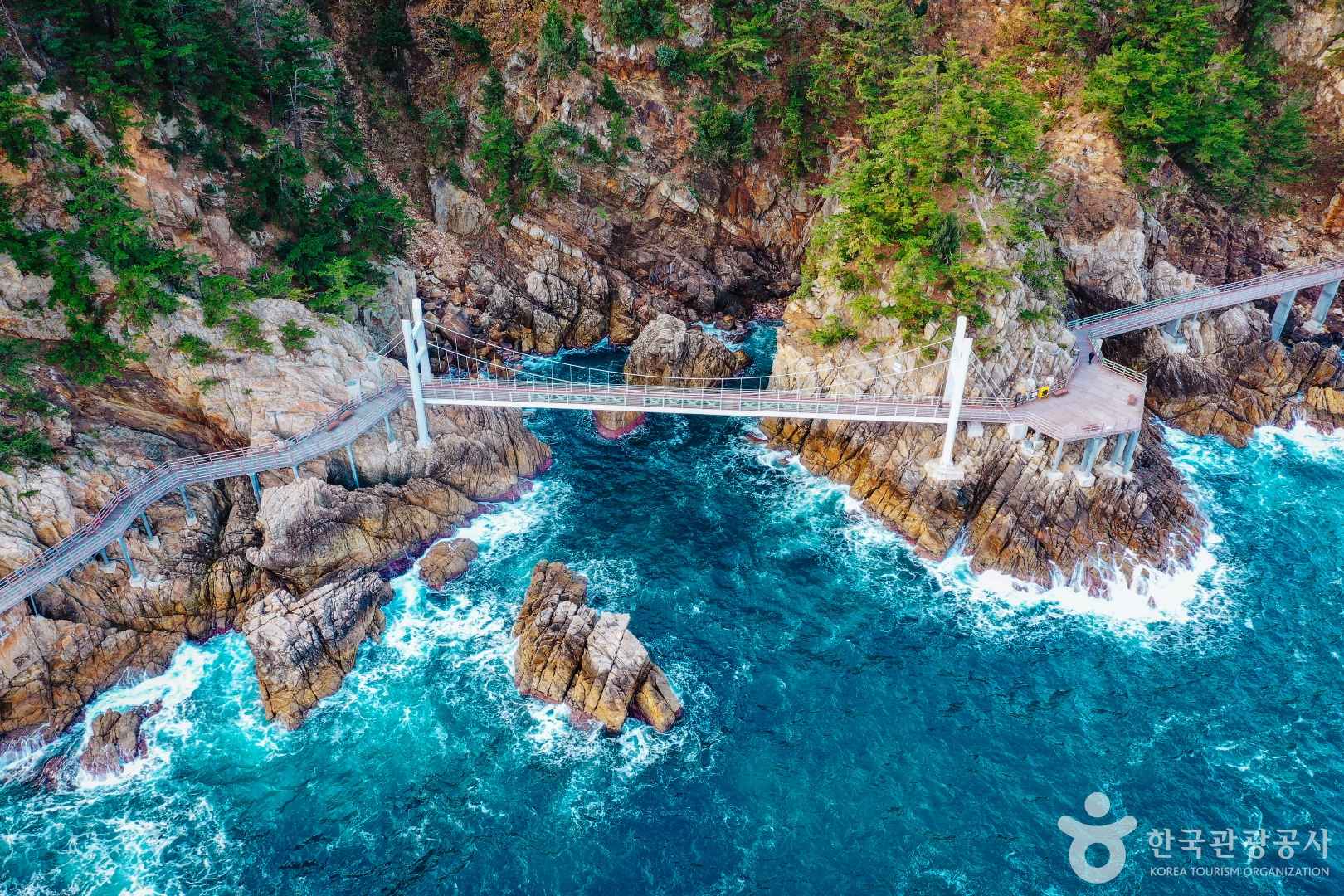 삼척 초곡 용굴촛대바위길