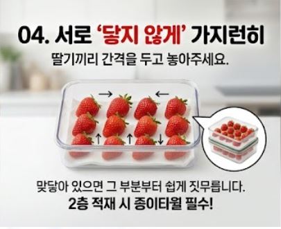 딸기보관방법