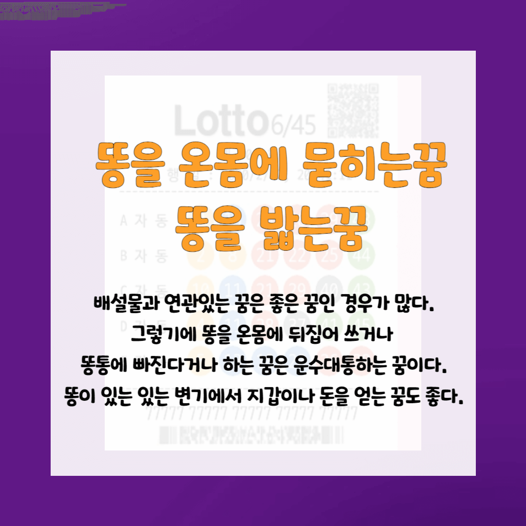 로또사야하는 꿈-똥꿈