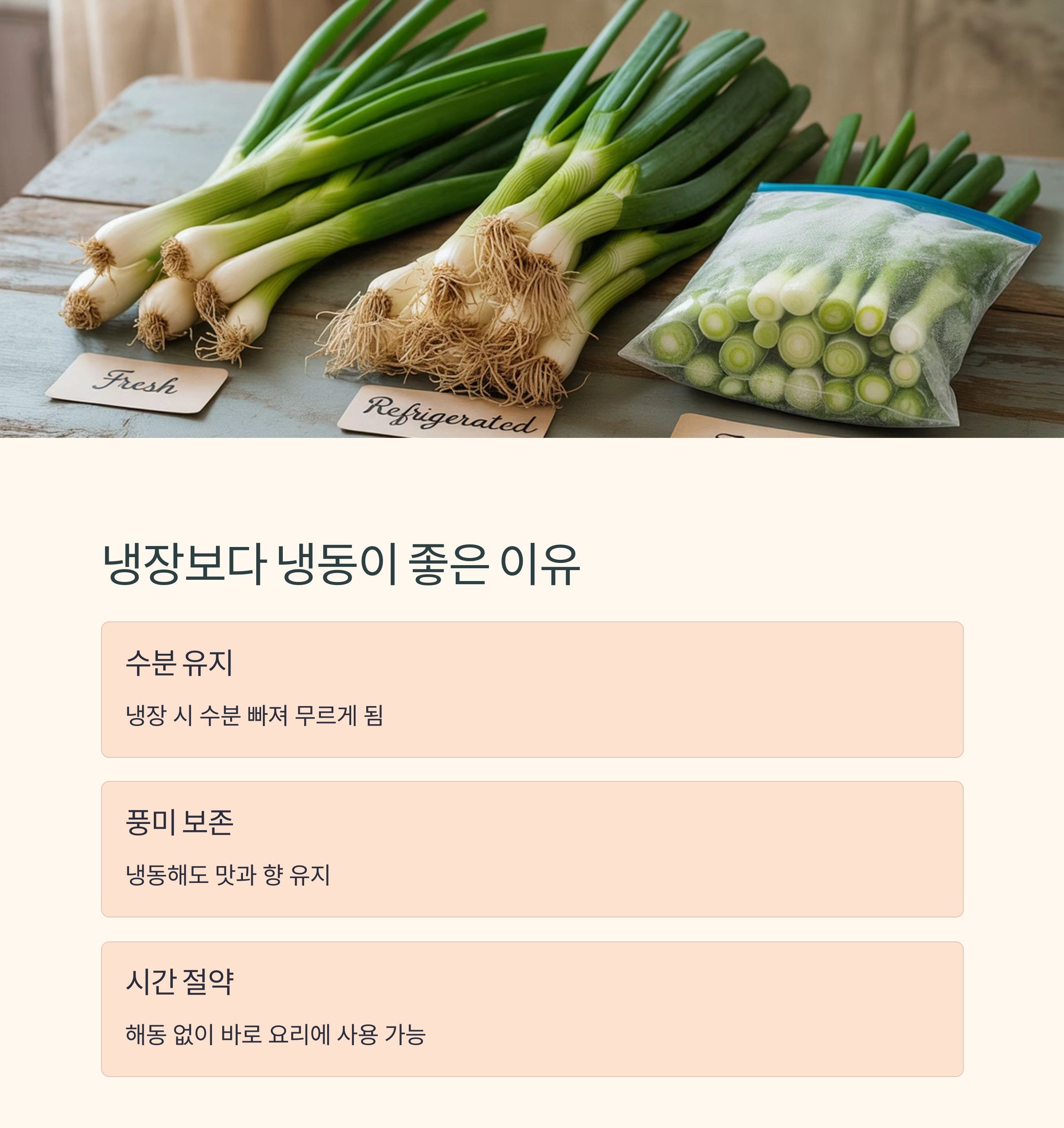 파를 오래 보관하는 법! 냉동 보관 꿀팁 대공개