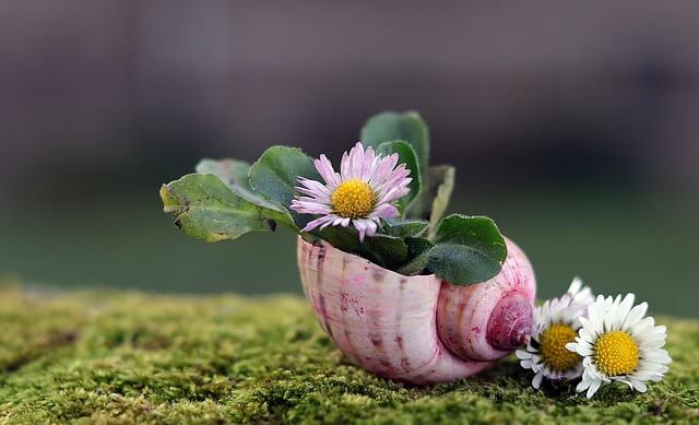 신속채무조정- 신속채무조정의 목적과 주요내용