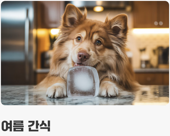 특별한 날을 위한 활용법 꿀팁