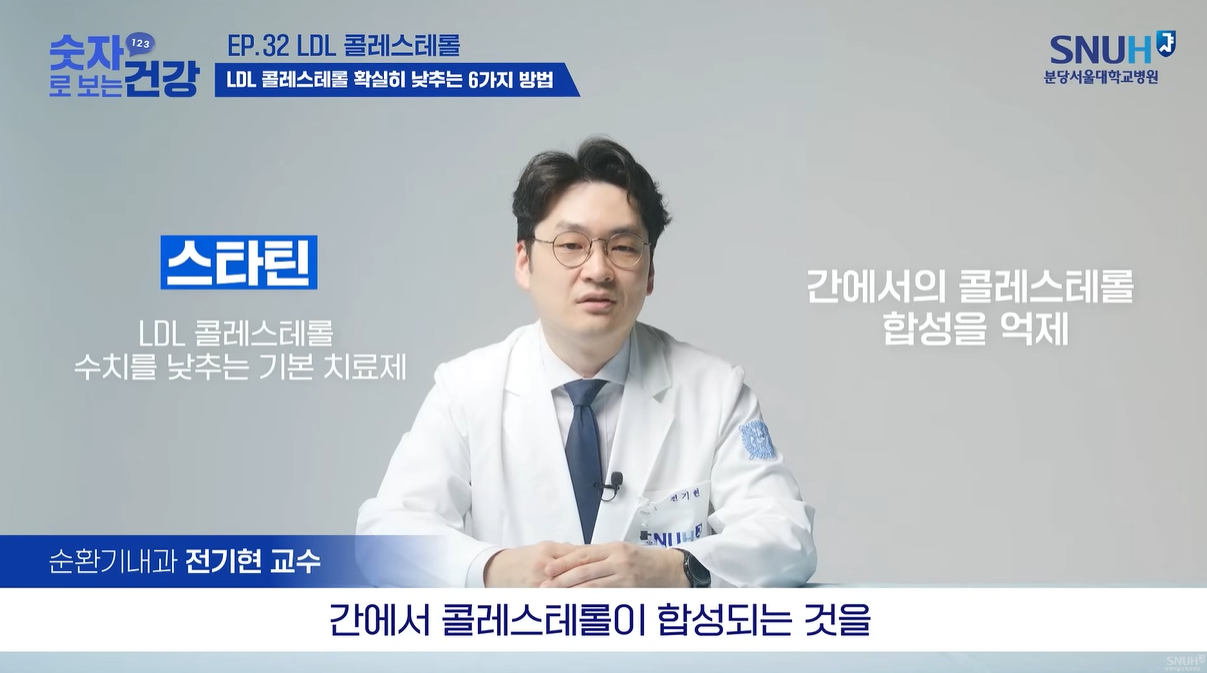 스타틴 기능
