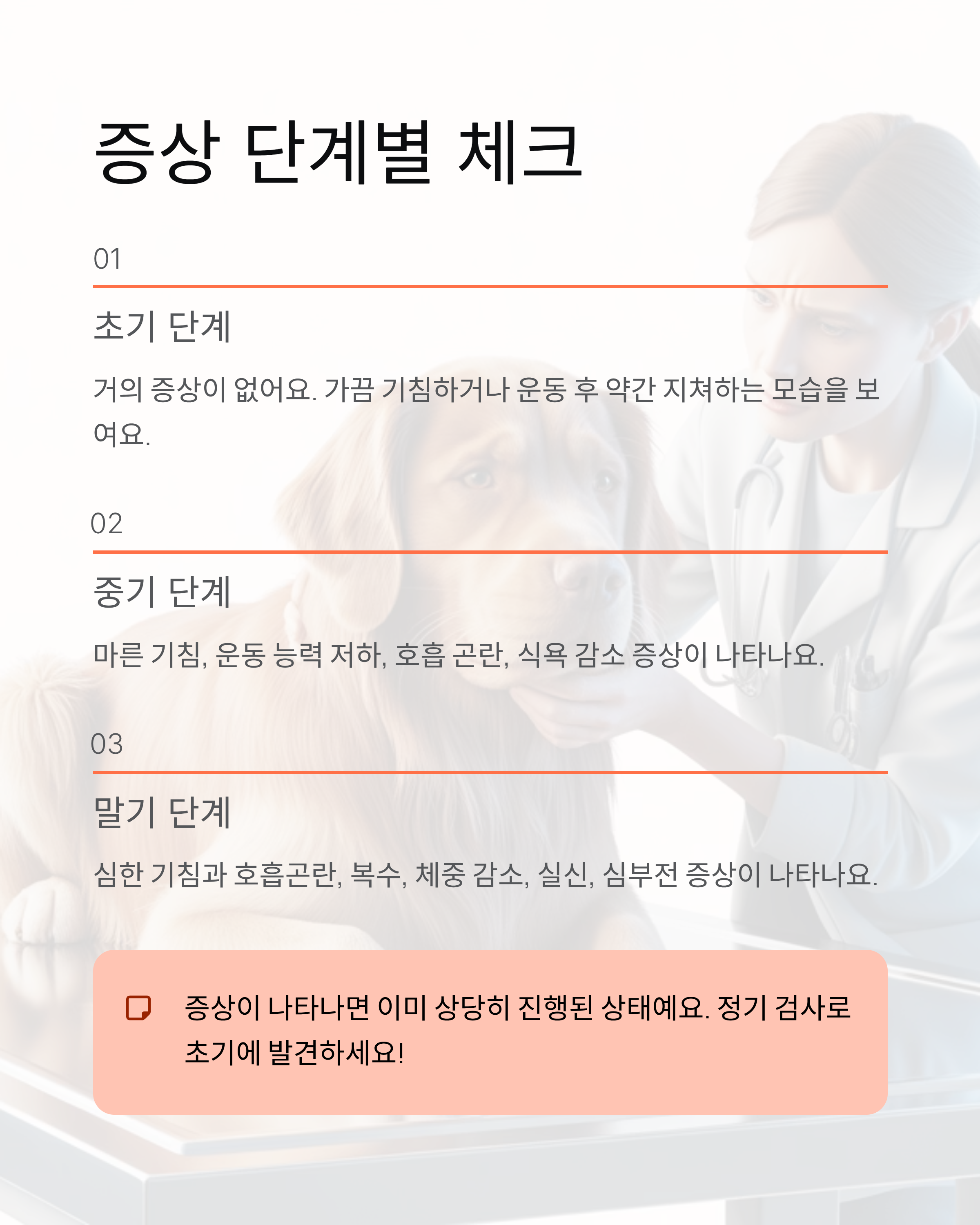 강아지 심장사상충 ❤️ 증상·예방약·치료 완벽 가이드!
