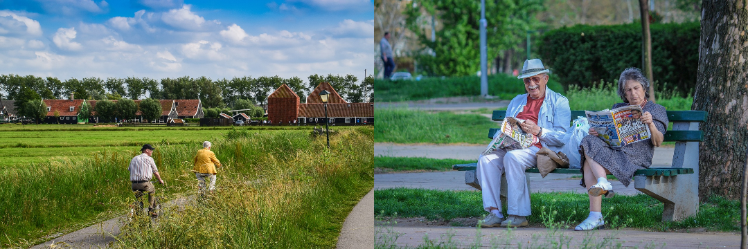 푸른씨앗 퇴직연금