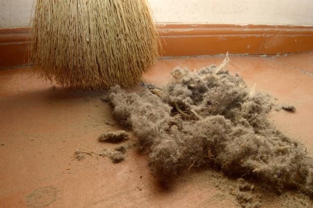 실내 온도와 습도가 먼지 미생물 증가에 미치는 실제 영향