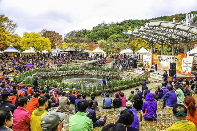2025 팔공산 단풍축제🍁 갓바위·케이블카·절정 시기·등산 코스 총정리!(대구역사문화대전 출처)