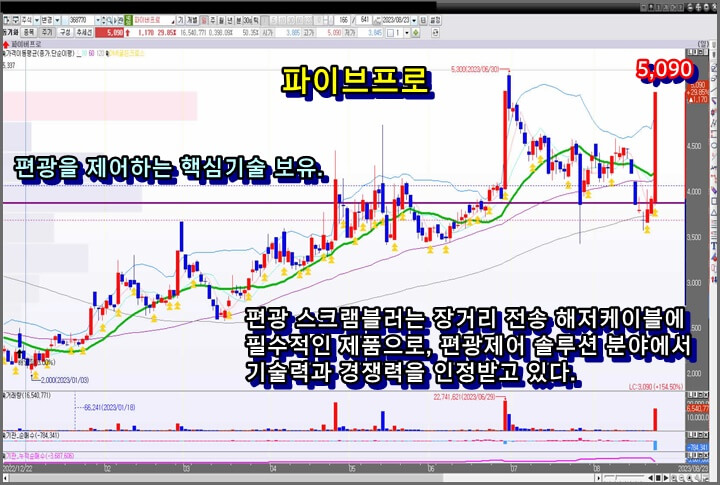 파이브프로-일-봉-차트