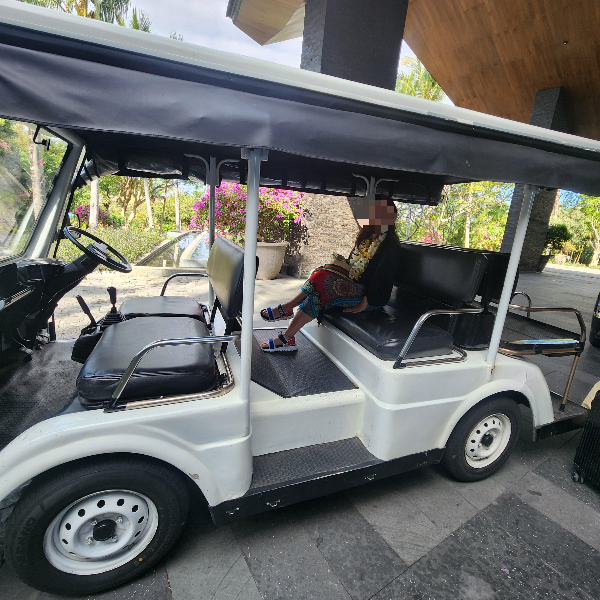 가장 많이 이용한 전기 카트. 사람이 한 명 타있다.