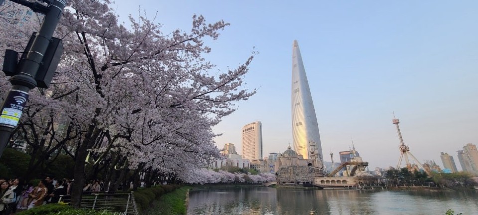 석촌호수 벚꽃 축제