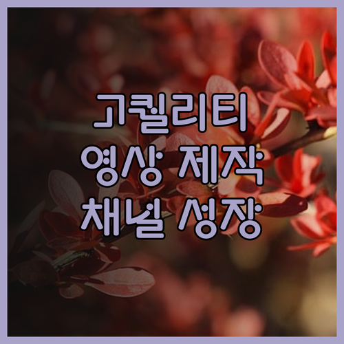 전문적인 유튜브 영상 제작, 당신의 