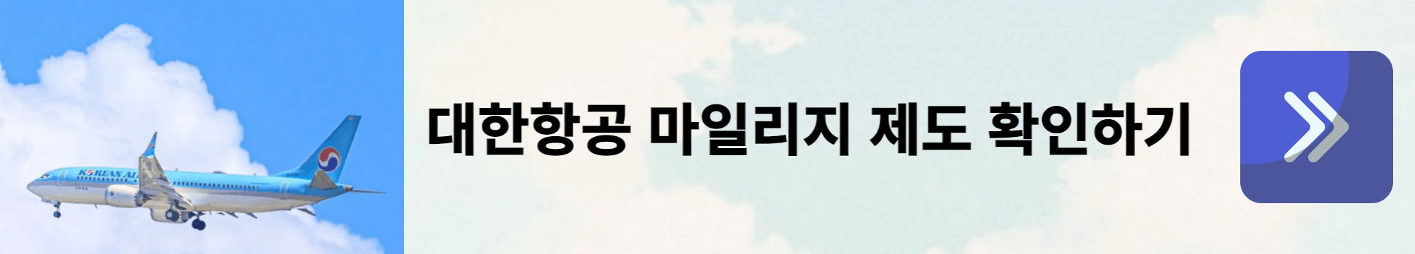 대한항공-배너사진