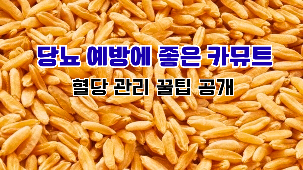 당뇨 예방에 좋은 카뮤트와 혈당 관리 꿀팁