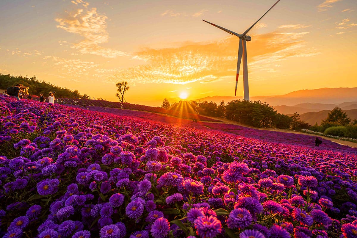별바람언덕