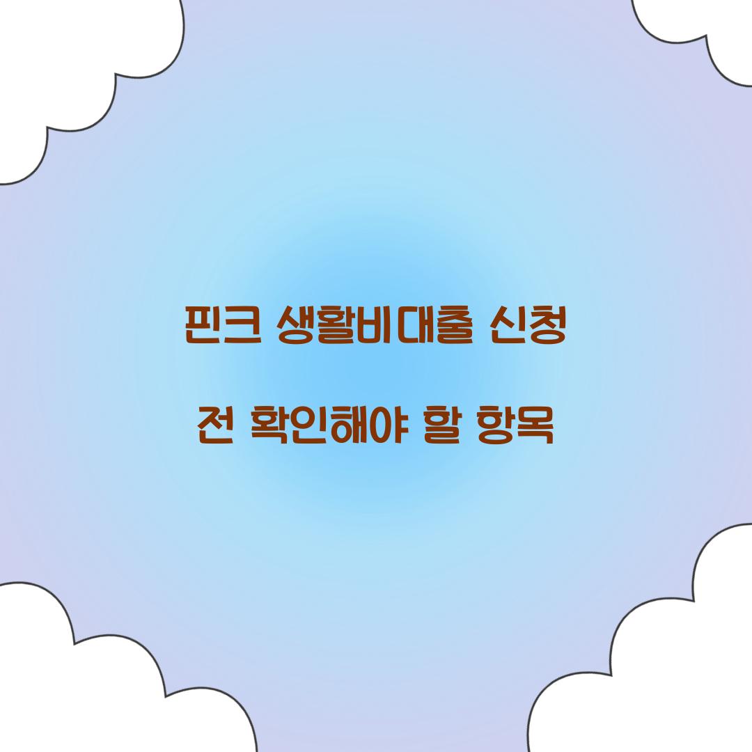 핀크 생활비대출 신청 전 확인해야 할 항목