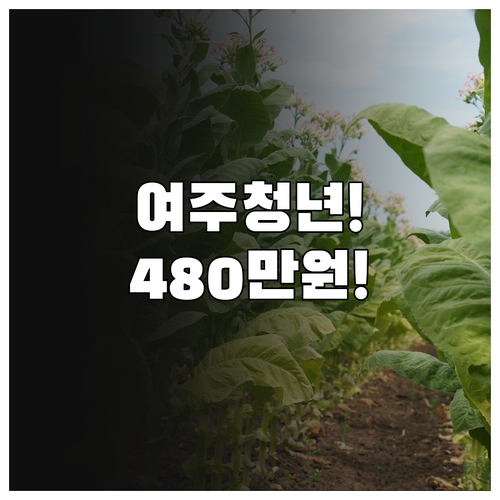 여주시 청년월세지원 480만원 현금 ..