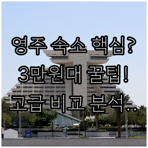 영주 숙소 추천 3만원대부터 고급 호..