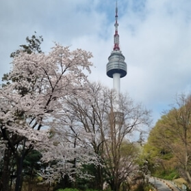 4월 봄꽃 축제 일정 (서울/인천/경기도)