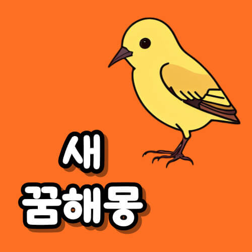 새 꿈해몽