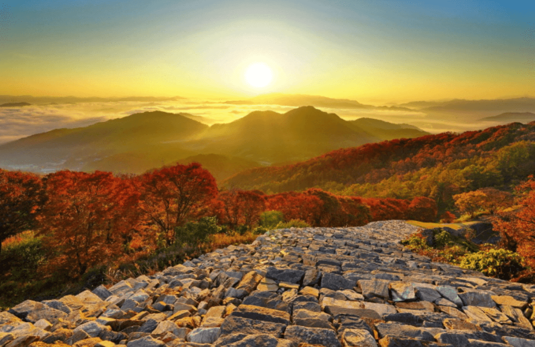 계족산 황토길(황톳길)