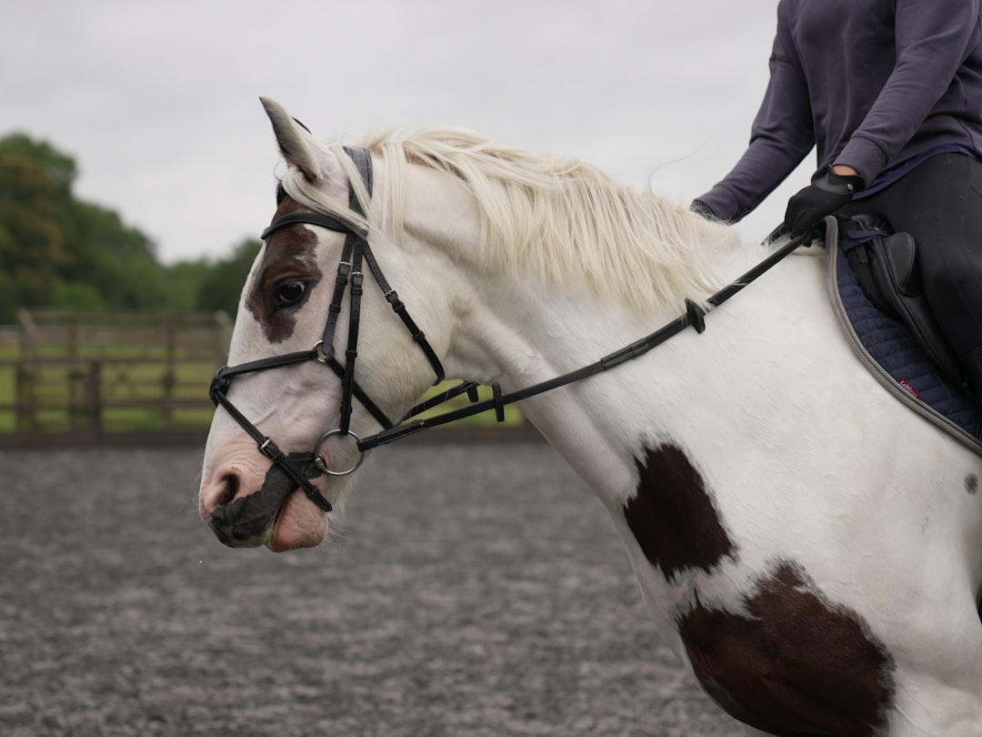 trot