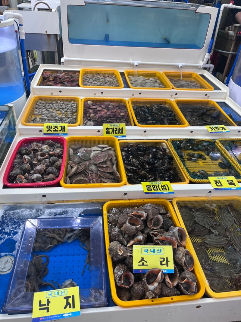 모항항수산물직판장