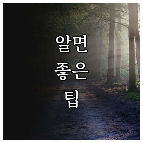 2025 부산 청년고용 인건비 지원 ..