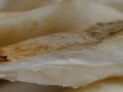 표고버섯 효능 사진32