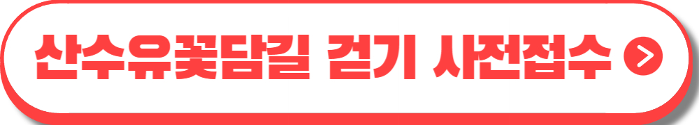 구례산수유축제