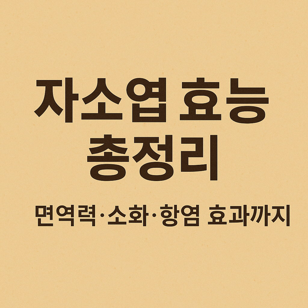 자소엽 효능 총정리
